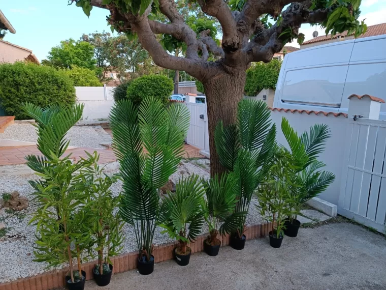 Location de plantes artificielles à Béziers