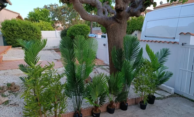 Location de décoration de plantes et fleurs artificielles à Béziers