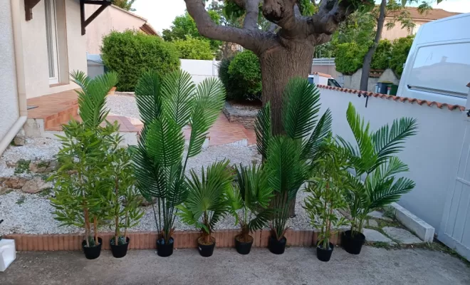 Location de décoration de plantes et fleurs artificielles à Béziers
