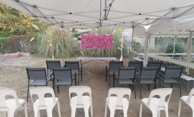 Location de décoration de plantes et fleurs artificielles à Béziers